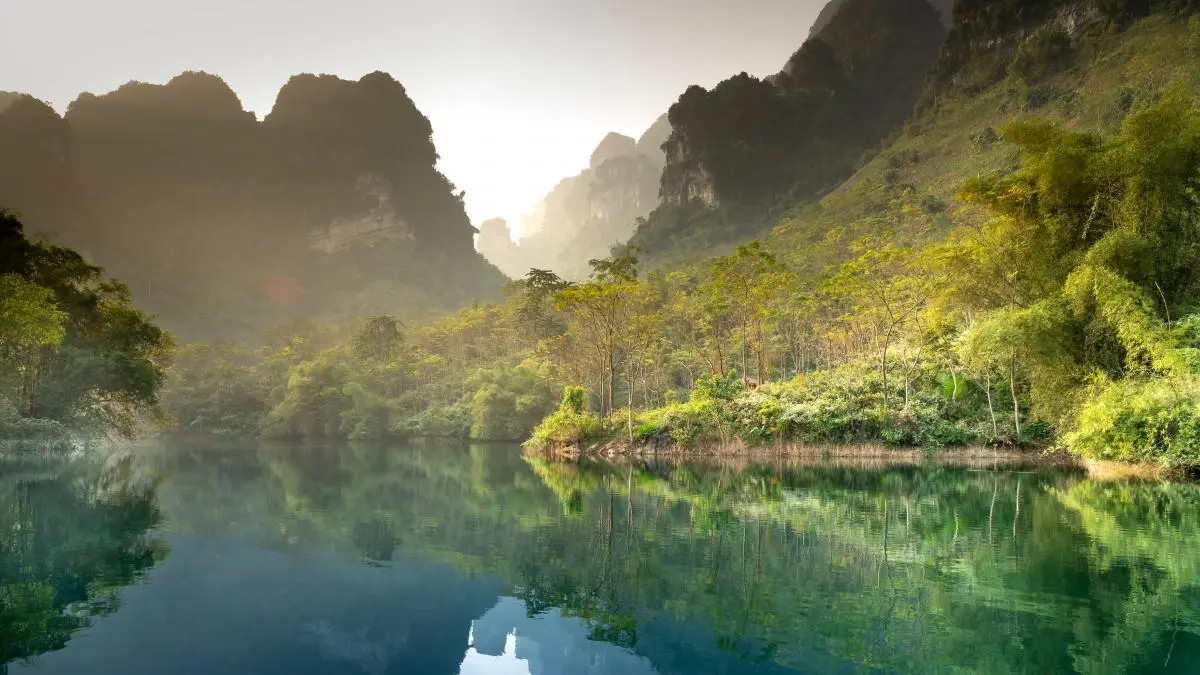 绿色科技独特